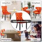 Chaises de salle à manger en velours (lot de 2), chaises de salle à manger capitonnées haut de gamme avec anneau de traction décoratif clouté et pieds en bois massif